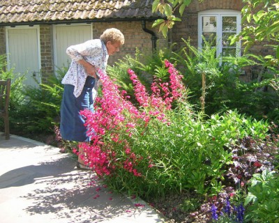 The Quiet Space image from Mature Garden