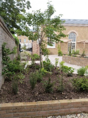 The Quiet Space image from The Quiet Space - New Garden